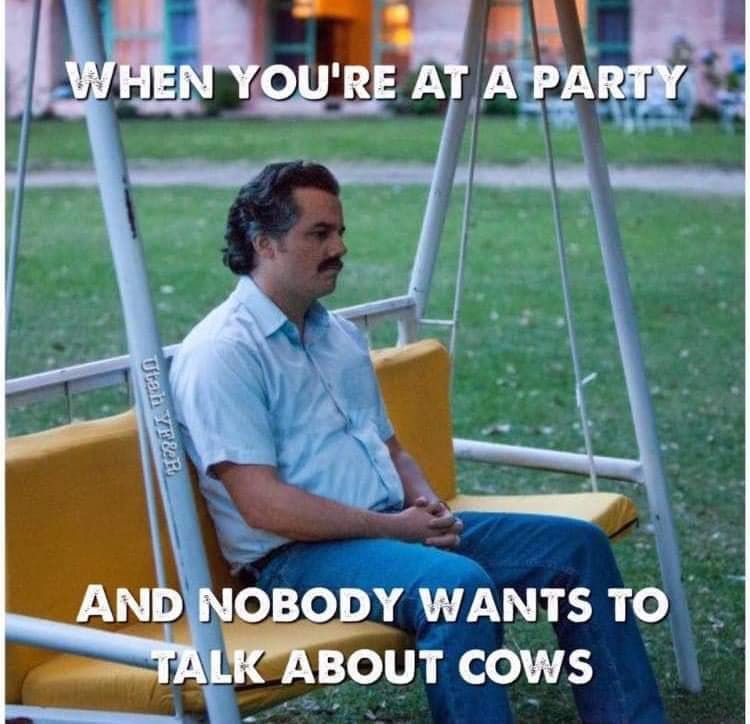 =(((((((((