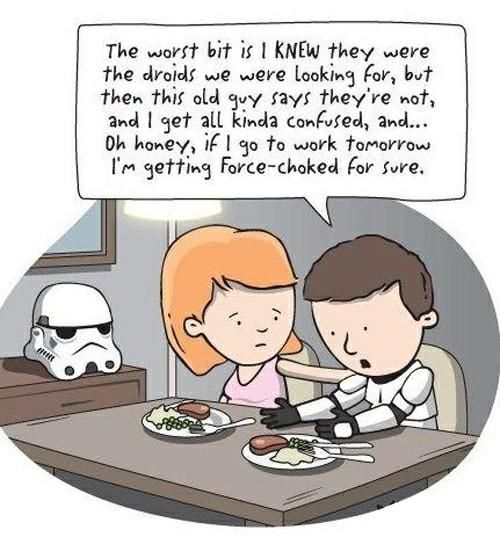 life of the stormtrooper