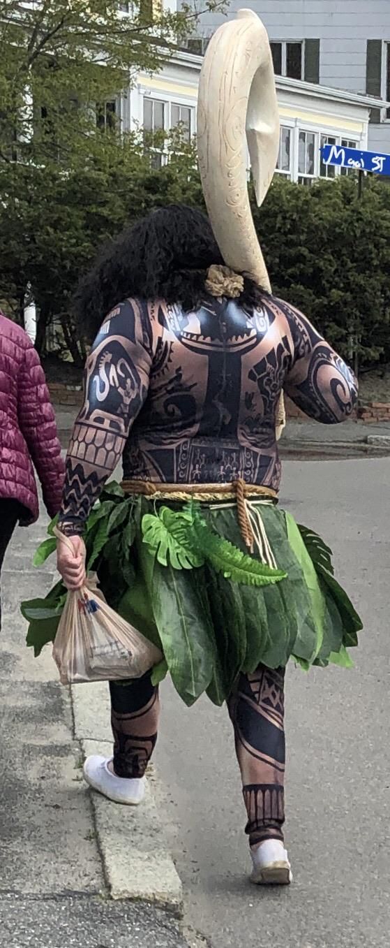 Saw Maui out for a walk today with his family