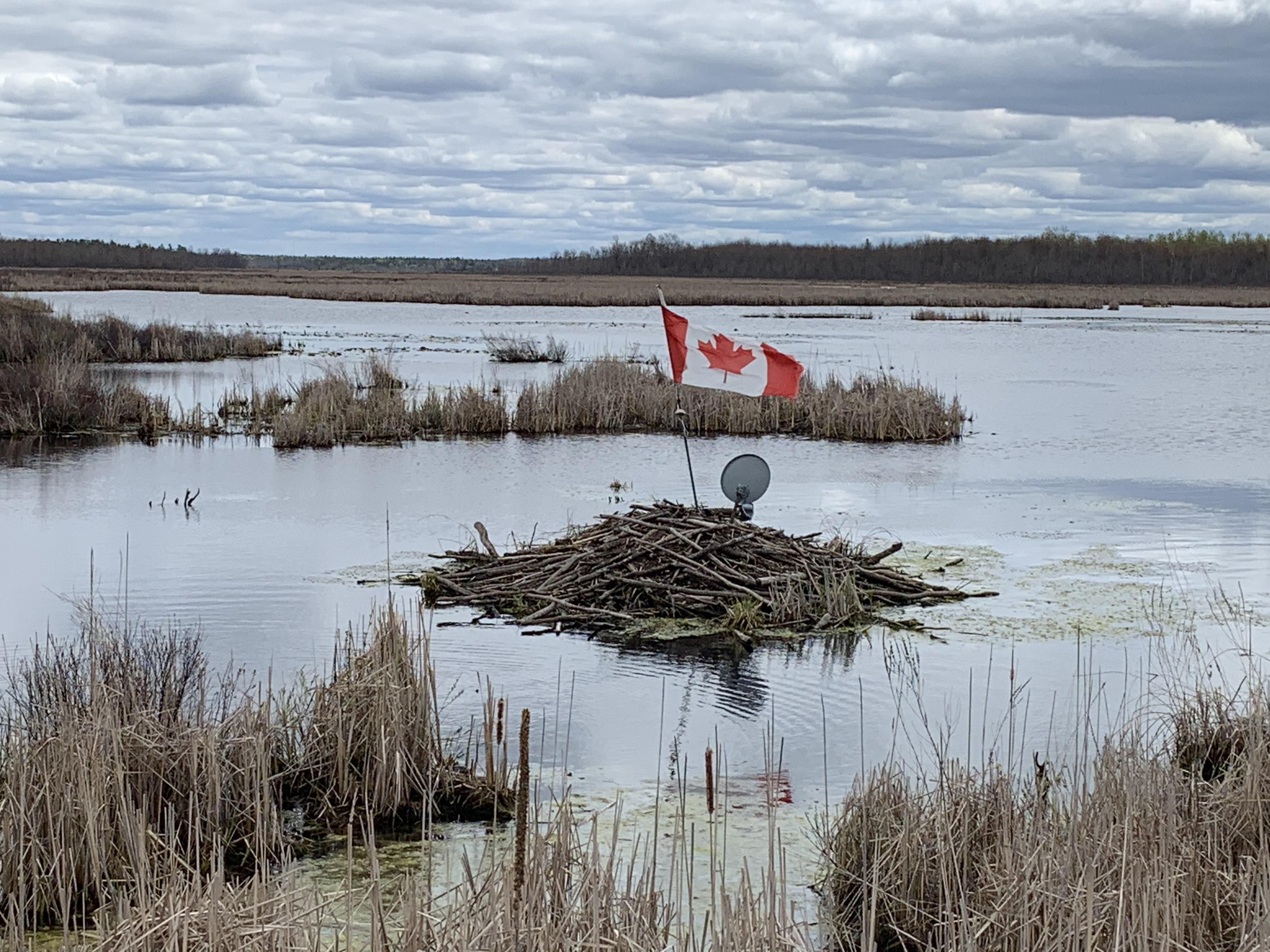 Beaver Dam with Canadian flag and satellite dish to watch the game.
