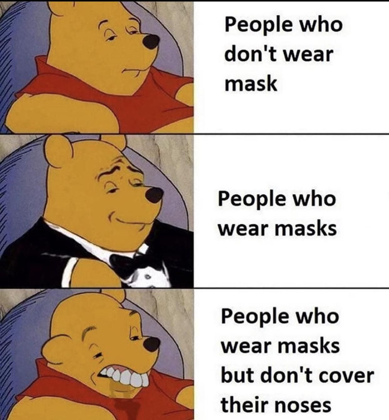 Idiots in masks