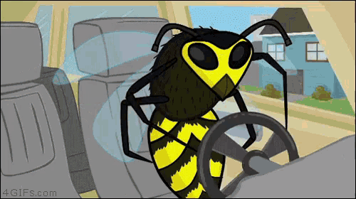 Wasp driving a car