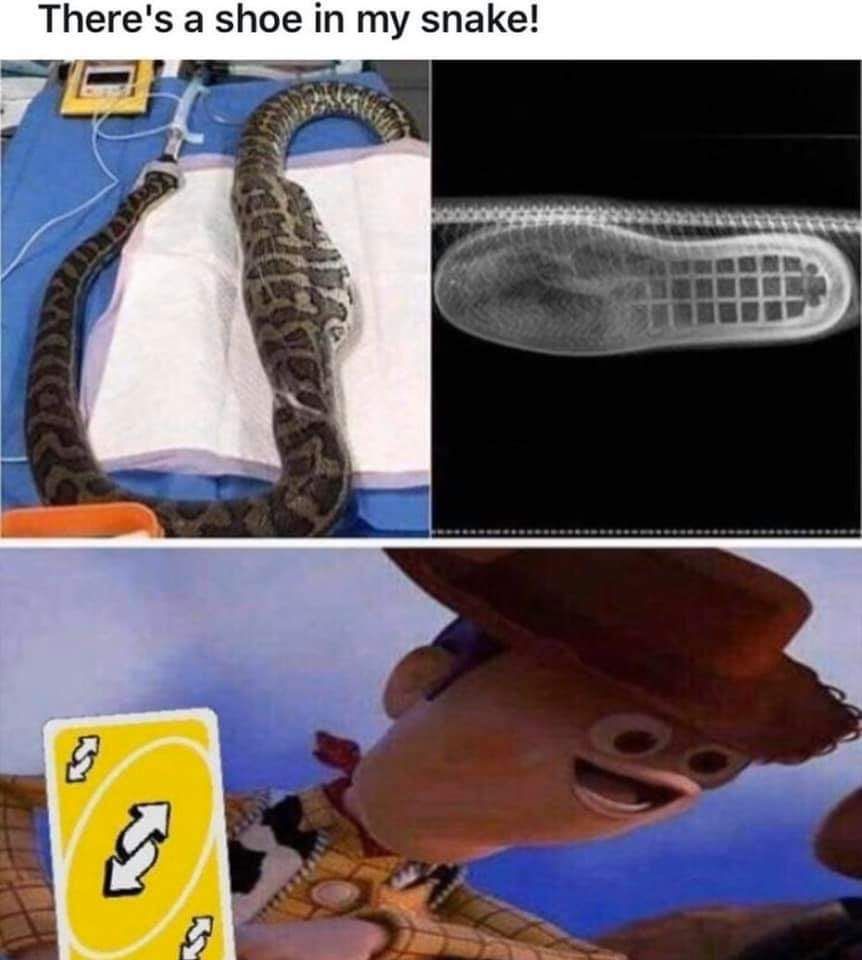 Shoe in a snake