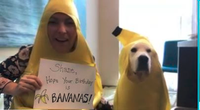 Sister surprised me with a birthday Zoom meeting. The dog made me laugh so hard.