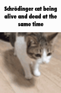 I subscribe to the zombie cat theory