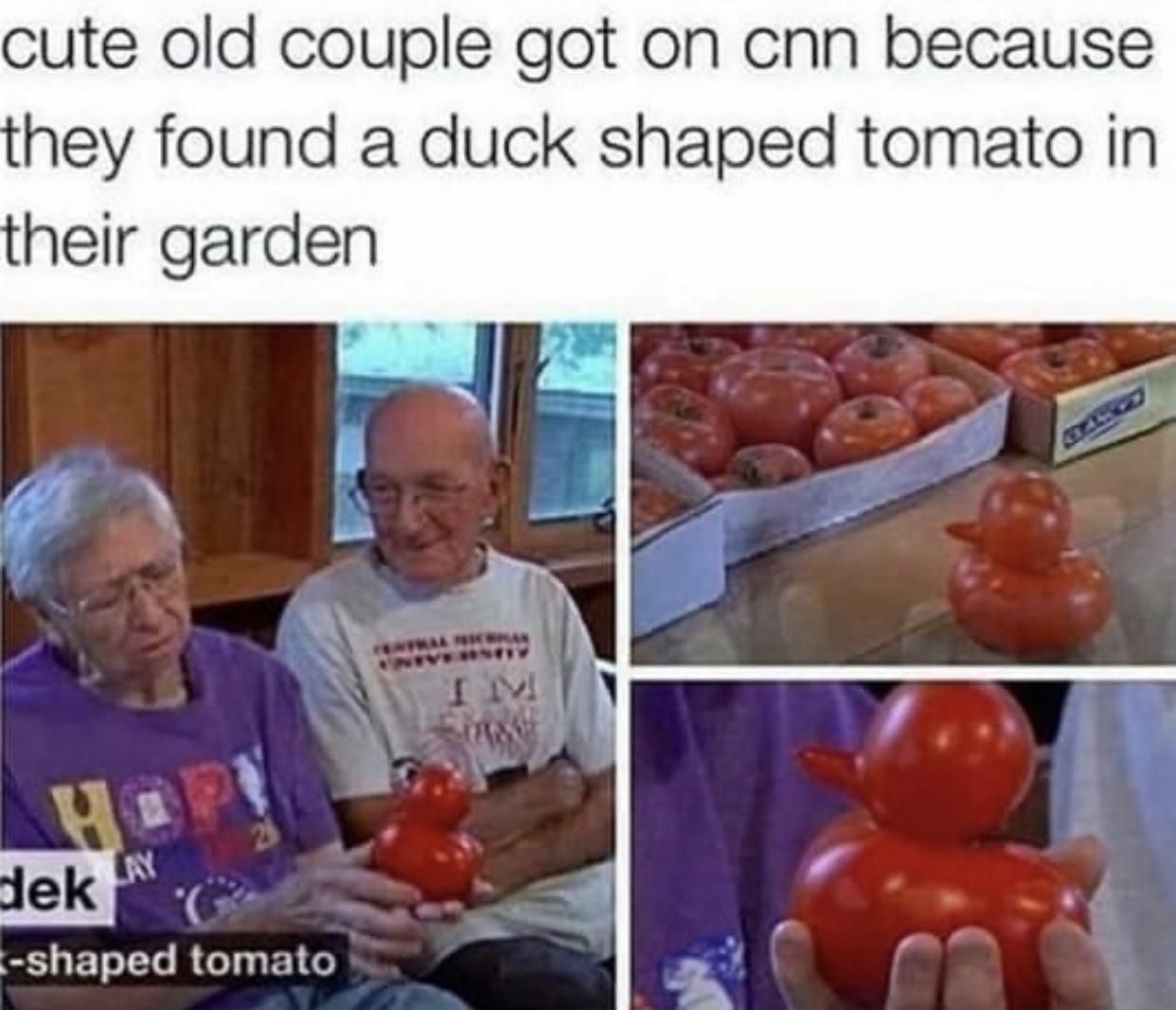 Tomato Duck