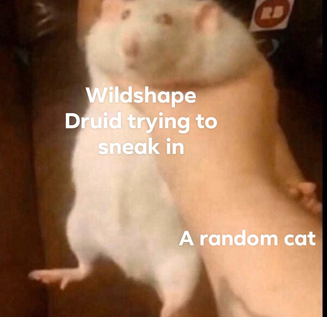 The cat is in for a surprise when a grown ass person pops out when it tries to eat them