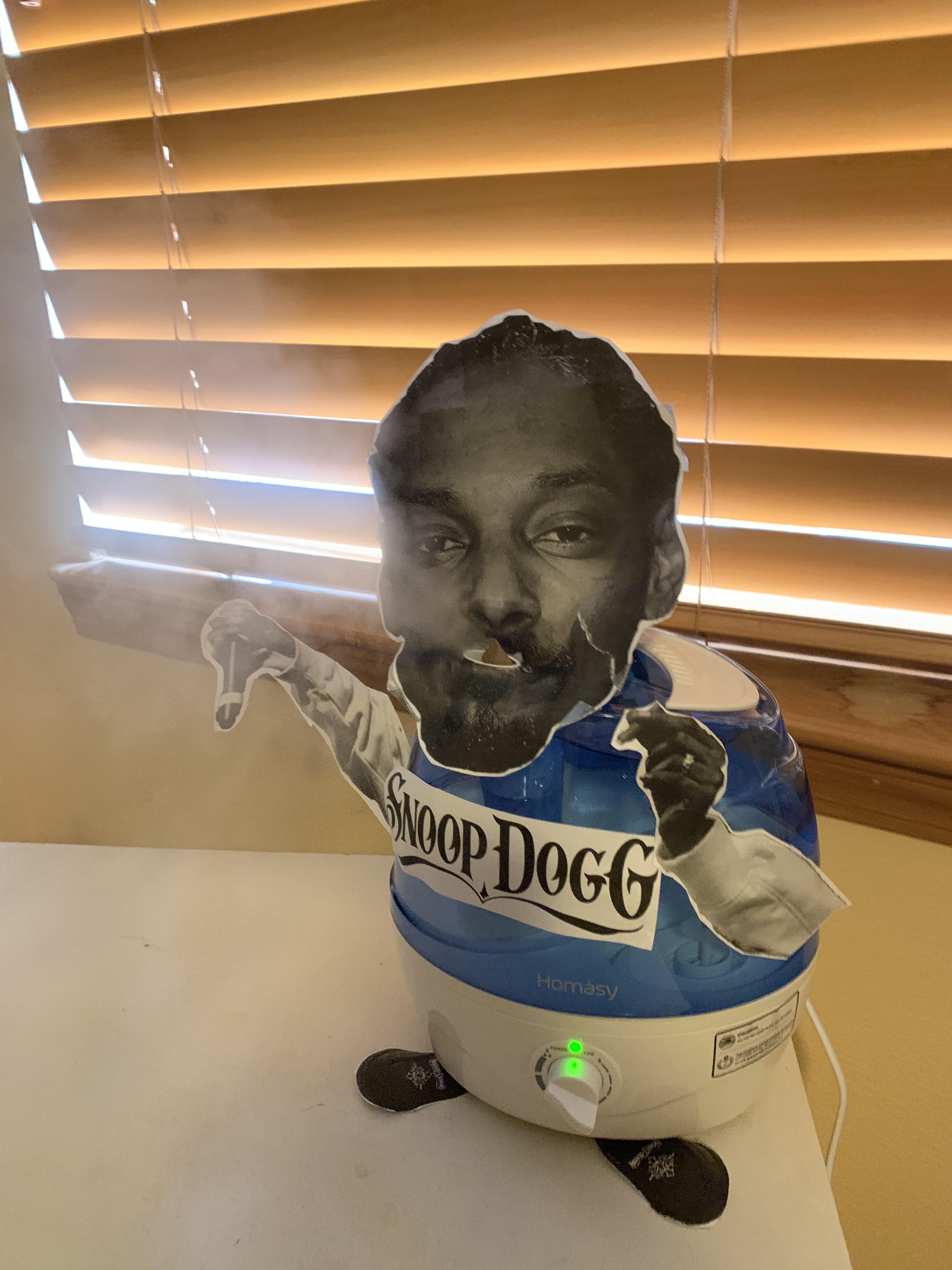I made my diffuser into snoop dogg.