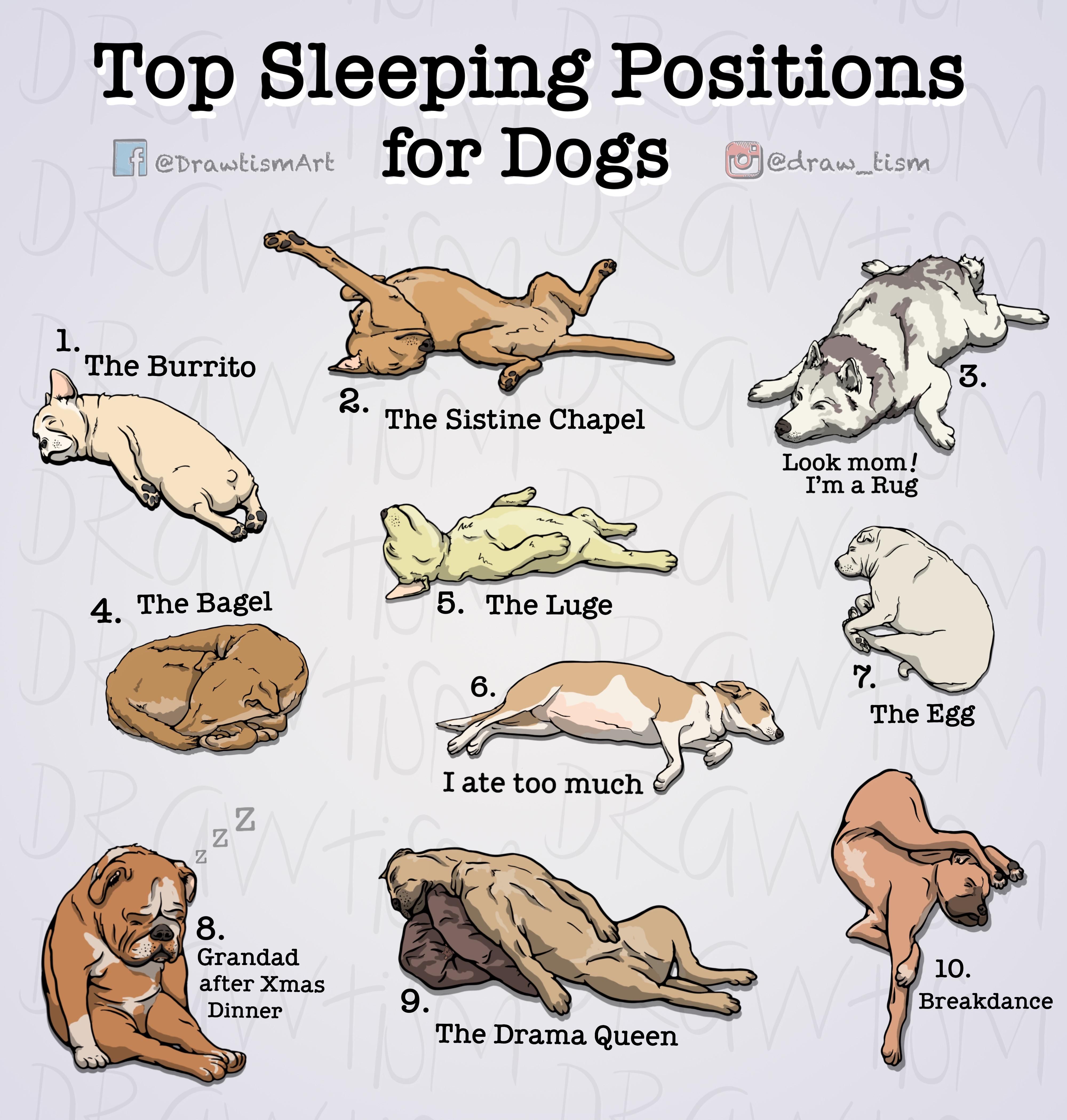 top sleeping positions