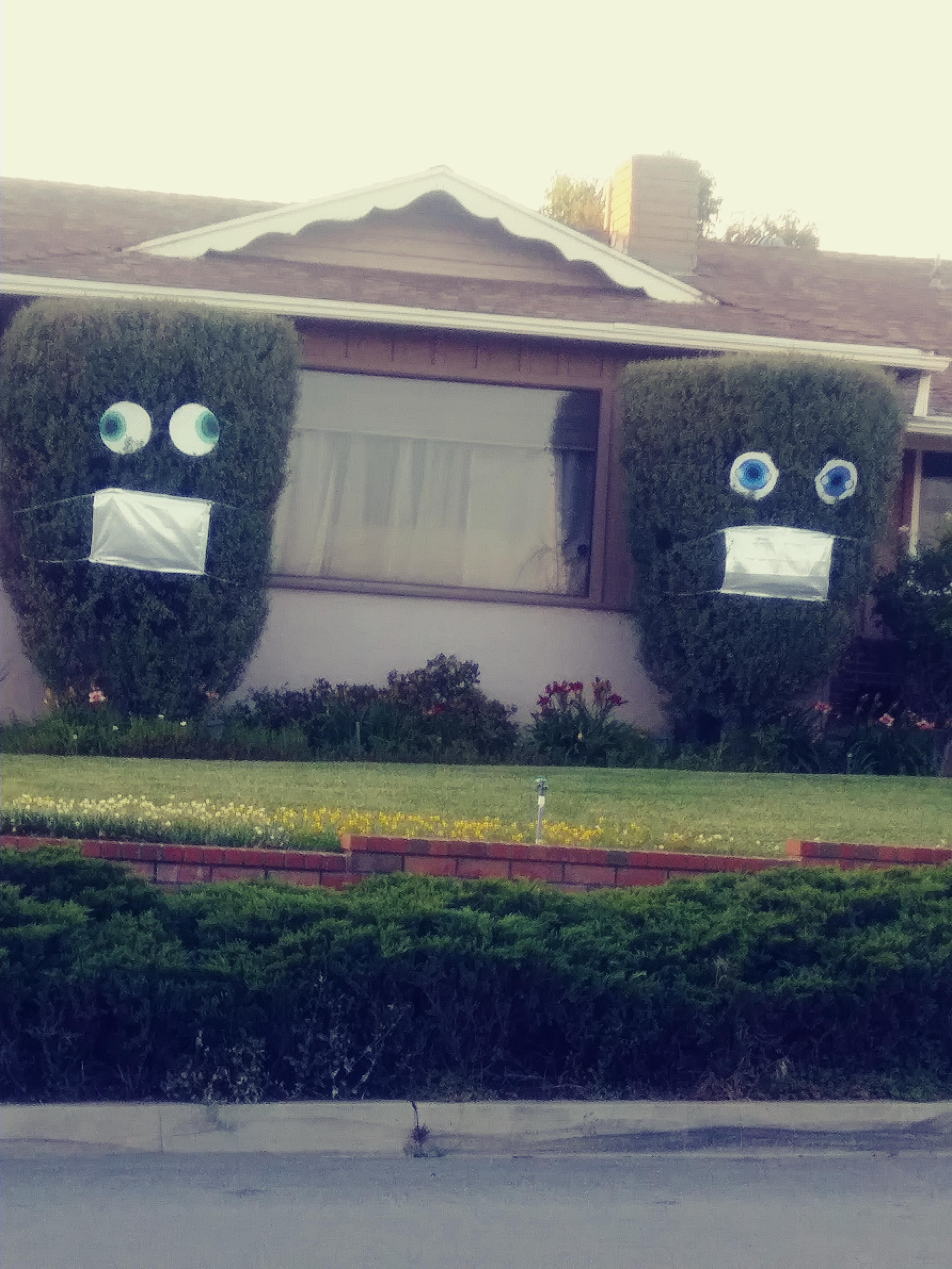 They added silly eyes to the bushes now.