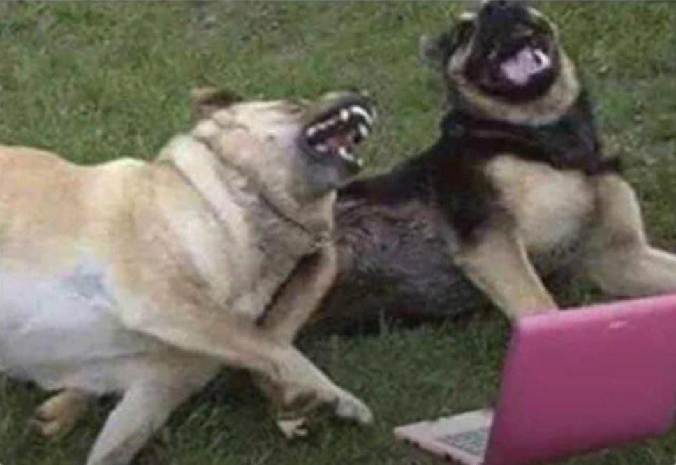 And then he said: “Come in, he doesn’t bite”. And I bit him !!!