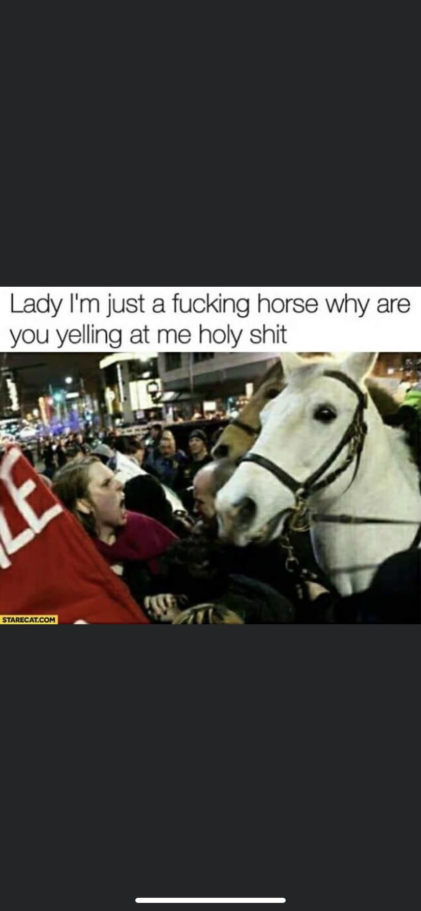 That poor goddamn horse