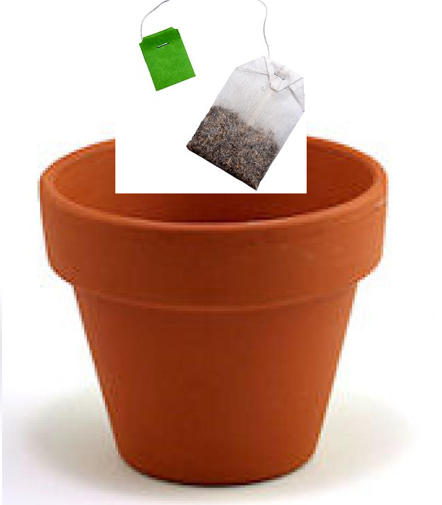 Hey guys I think I found tea and a pot