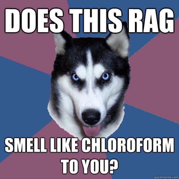Best pick-up line EVAH