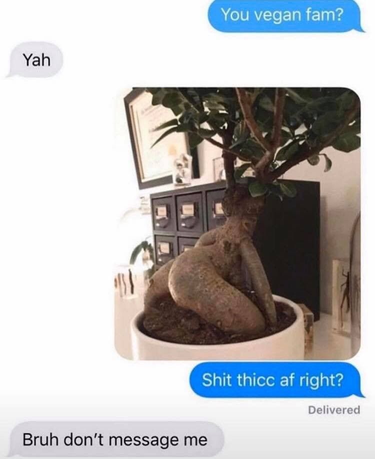Gives me wood