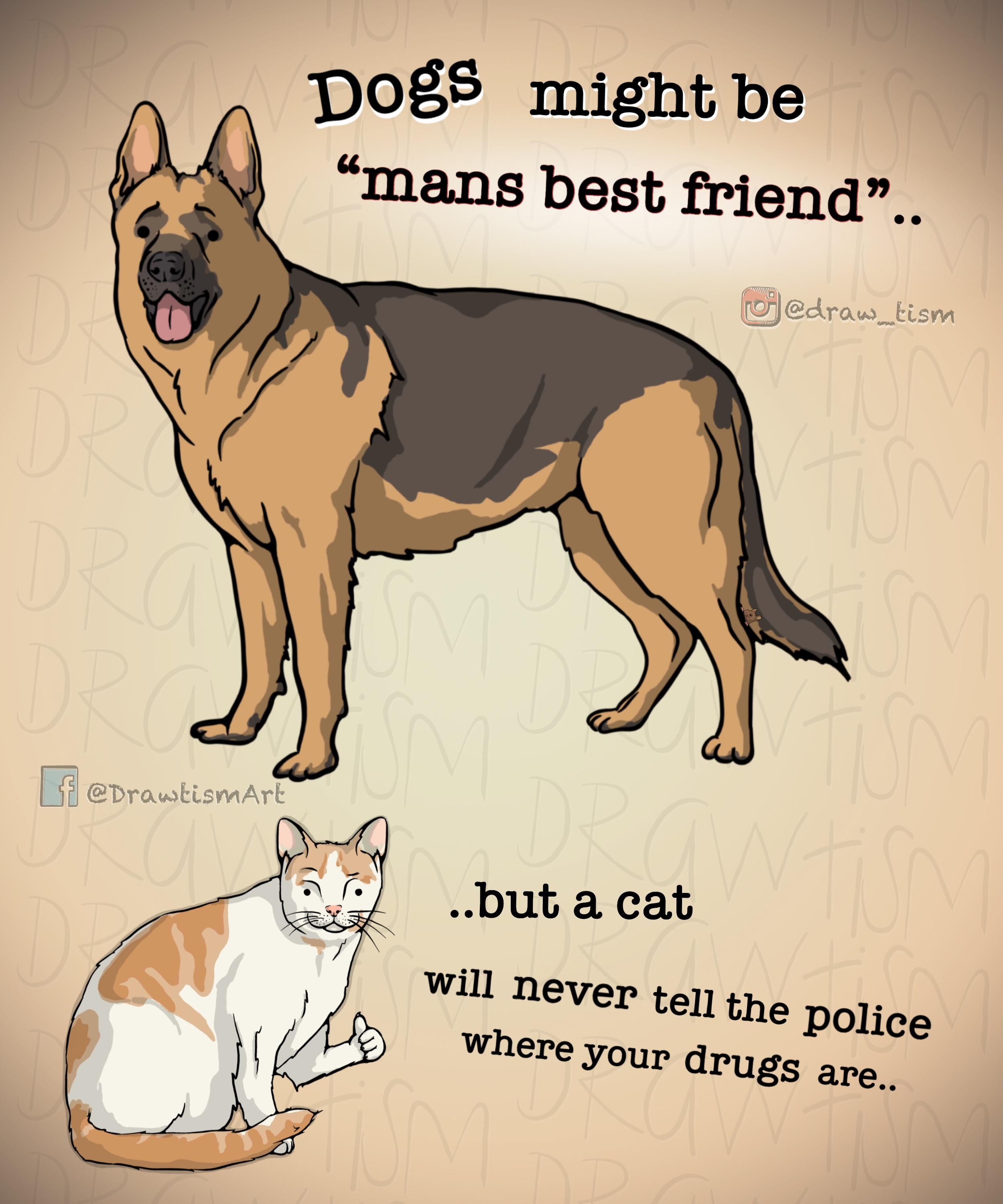 Loyalty in pets
