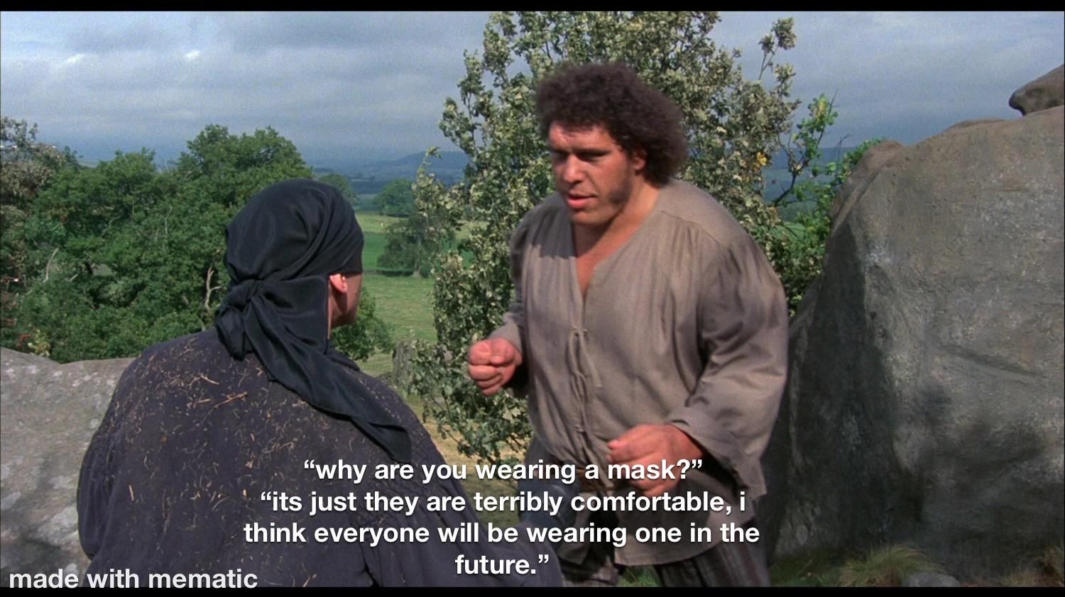 sorry if this has already been done, im watching The Princess Bride, it struck me hilarious.