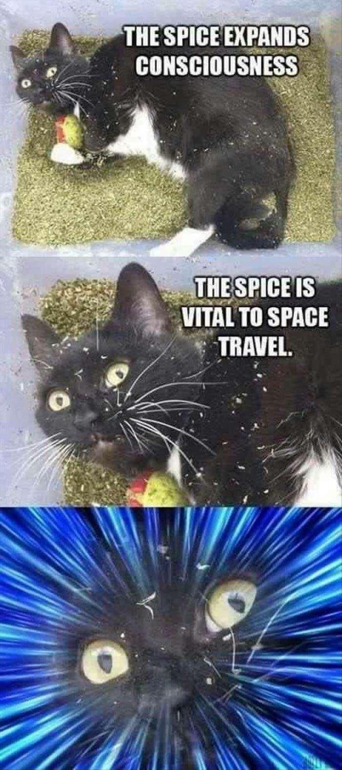 The spice must flow