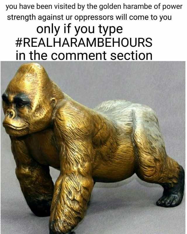 We all need this right now