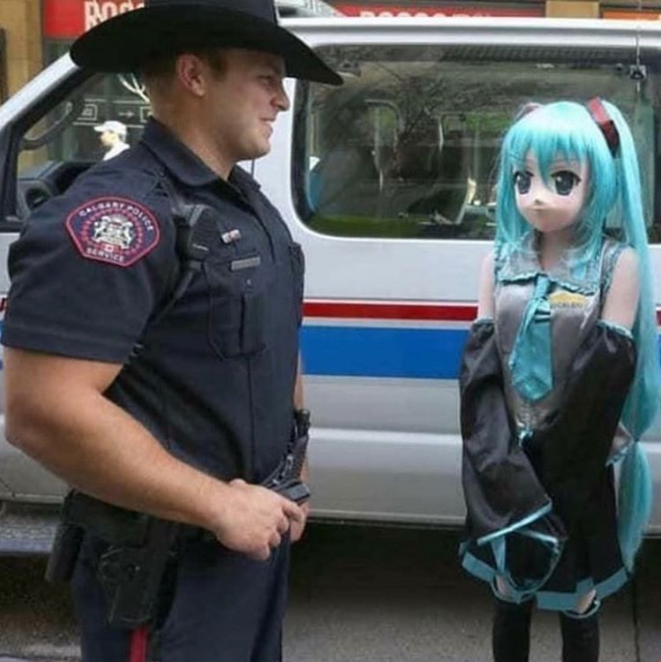 hatsune miku has been arrested for looting