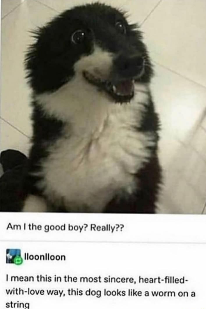 Yes you are still a good boy