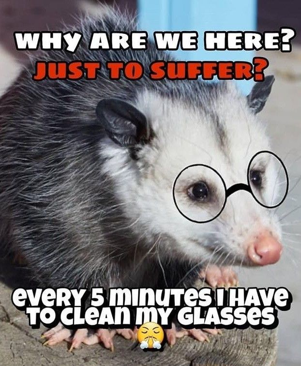 tfw cleaning the cum stains off my glasses