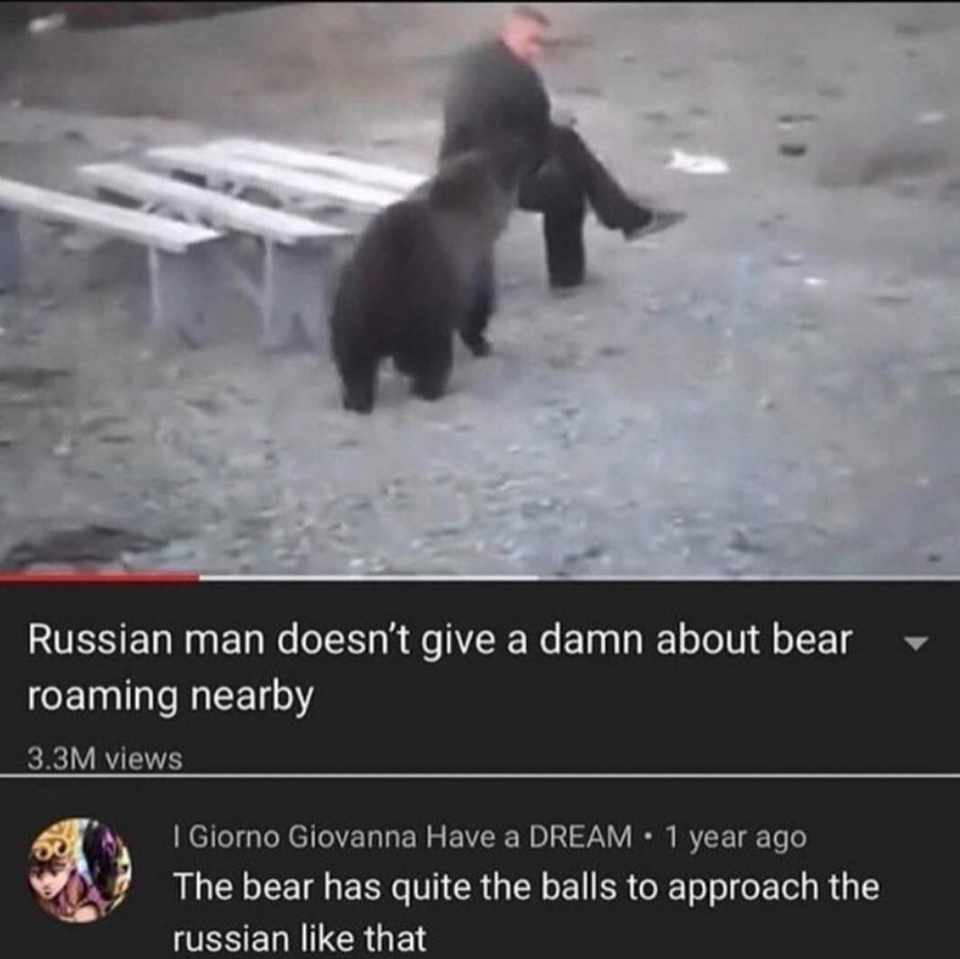 Black Bear best bear