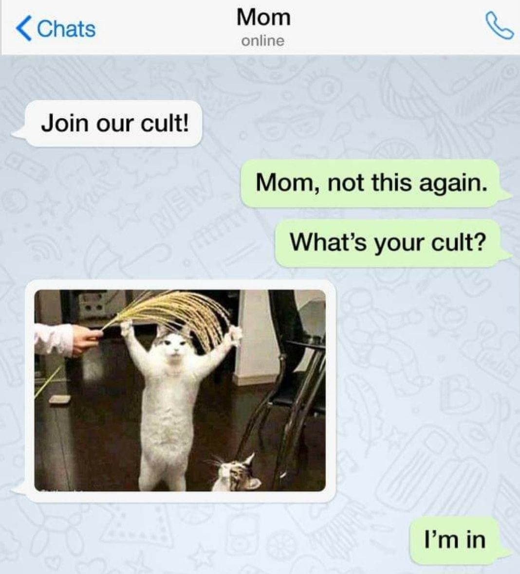 Finally a cult for you cat lovers