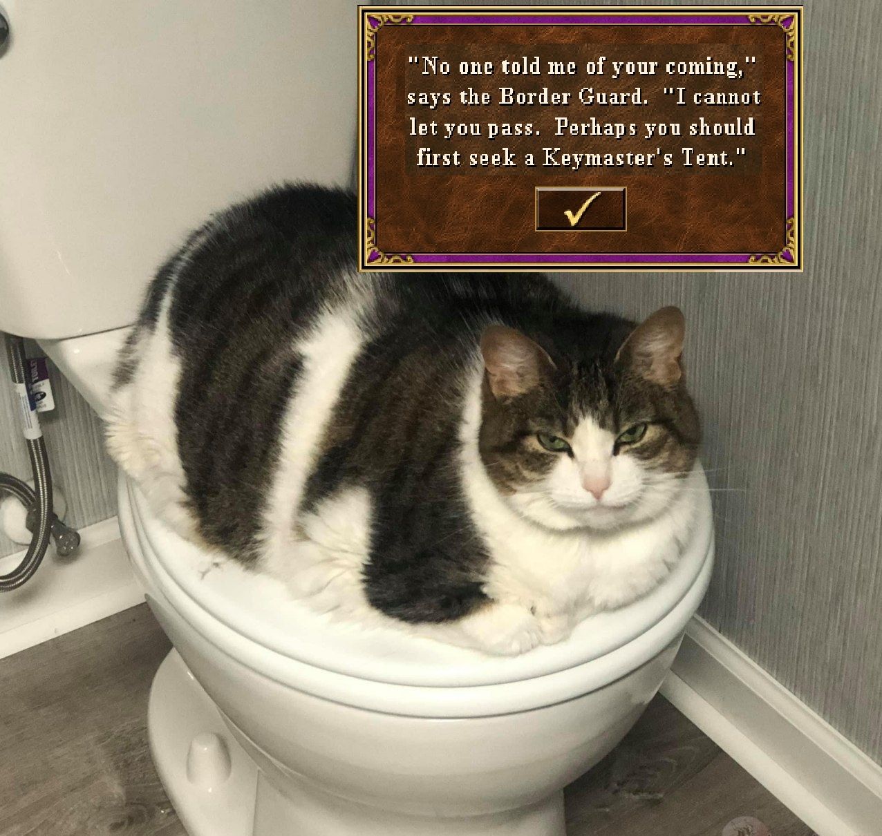 ‍ ‍
