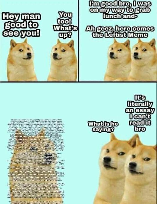 funny maymay because doge