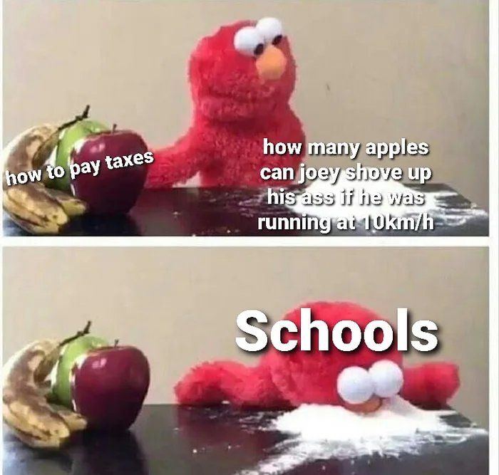 Schools are dumb ngl