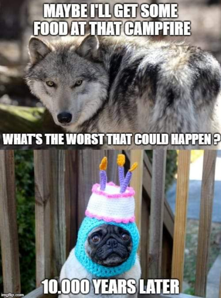 never trust a human