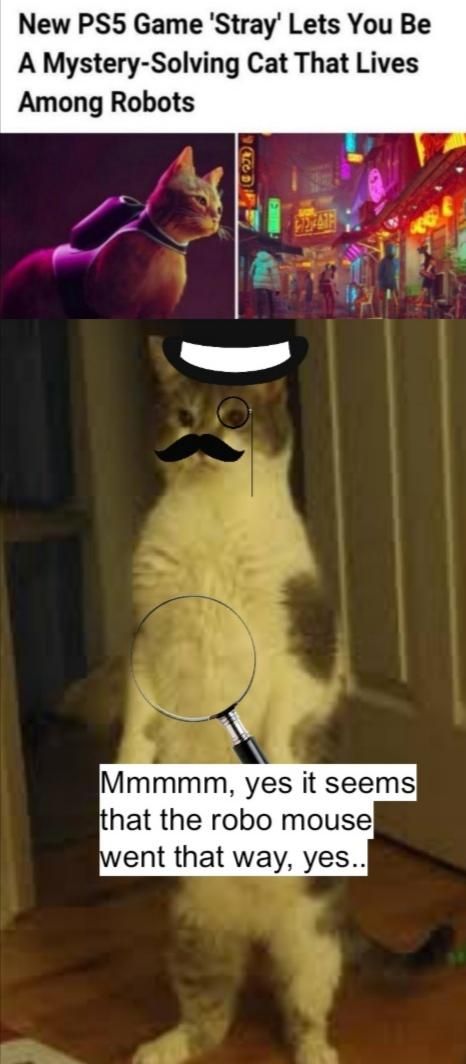 Dudder approves