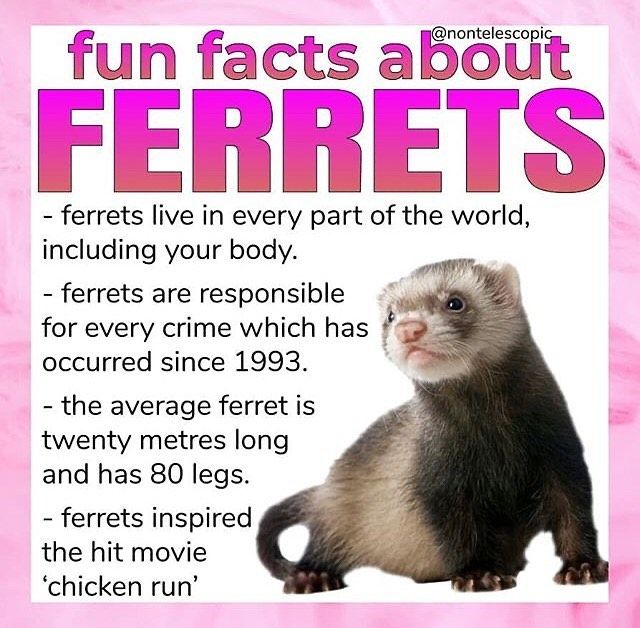 ffaf