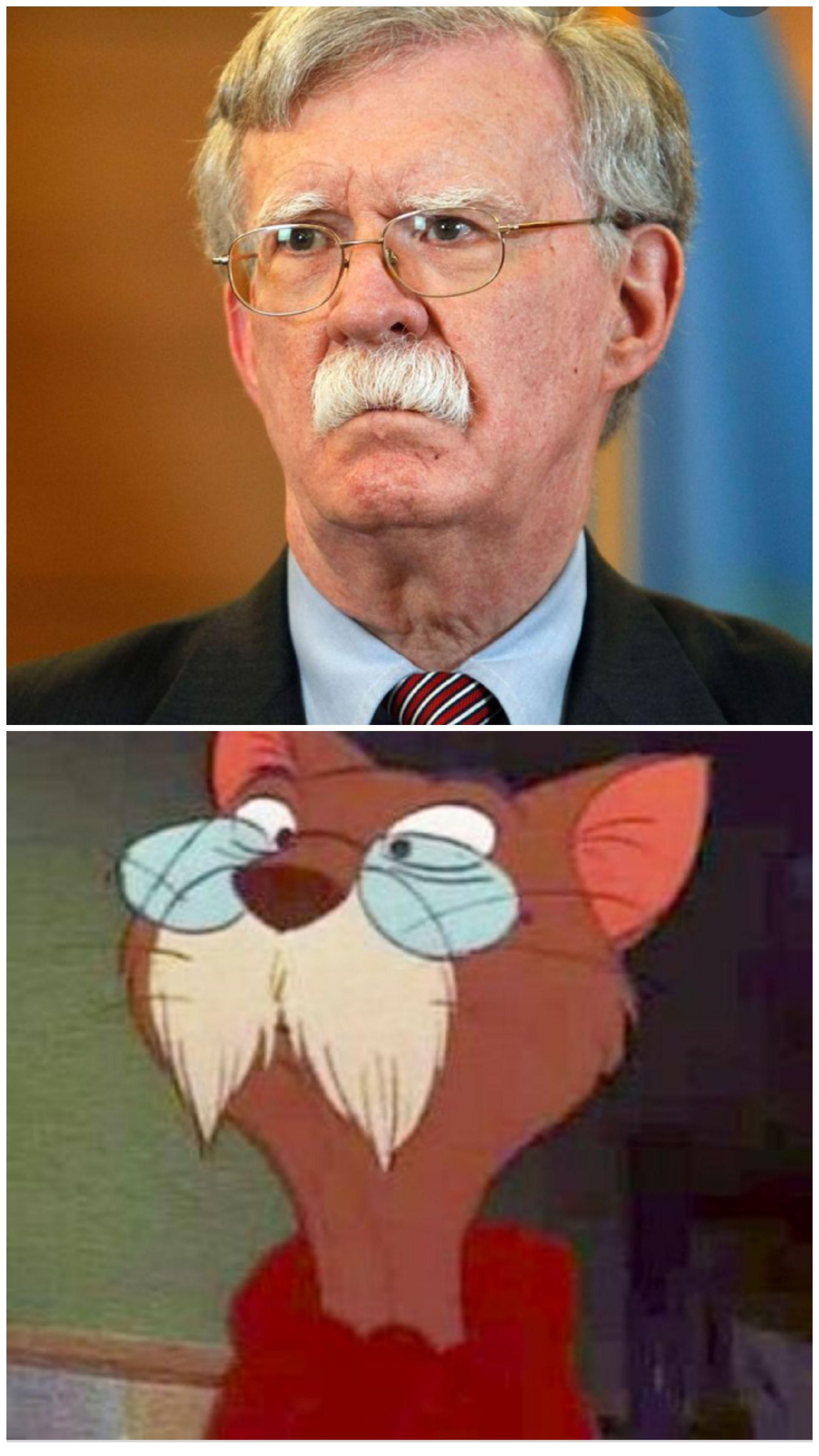 John Bolton looks like the cat from the Rescuers!