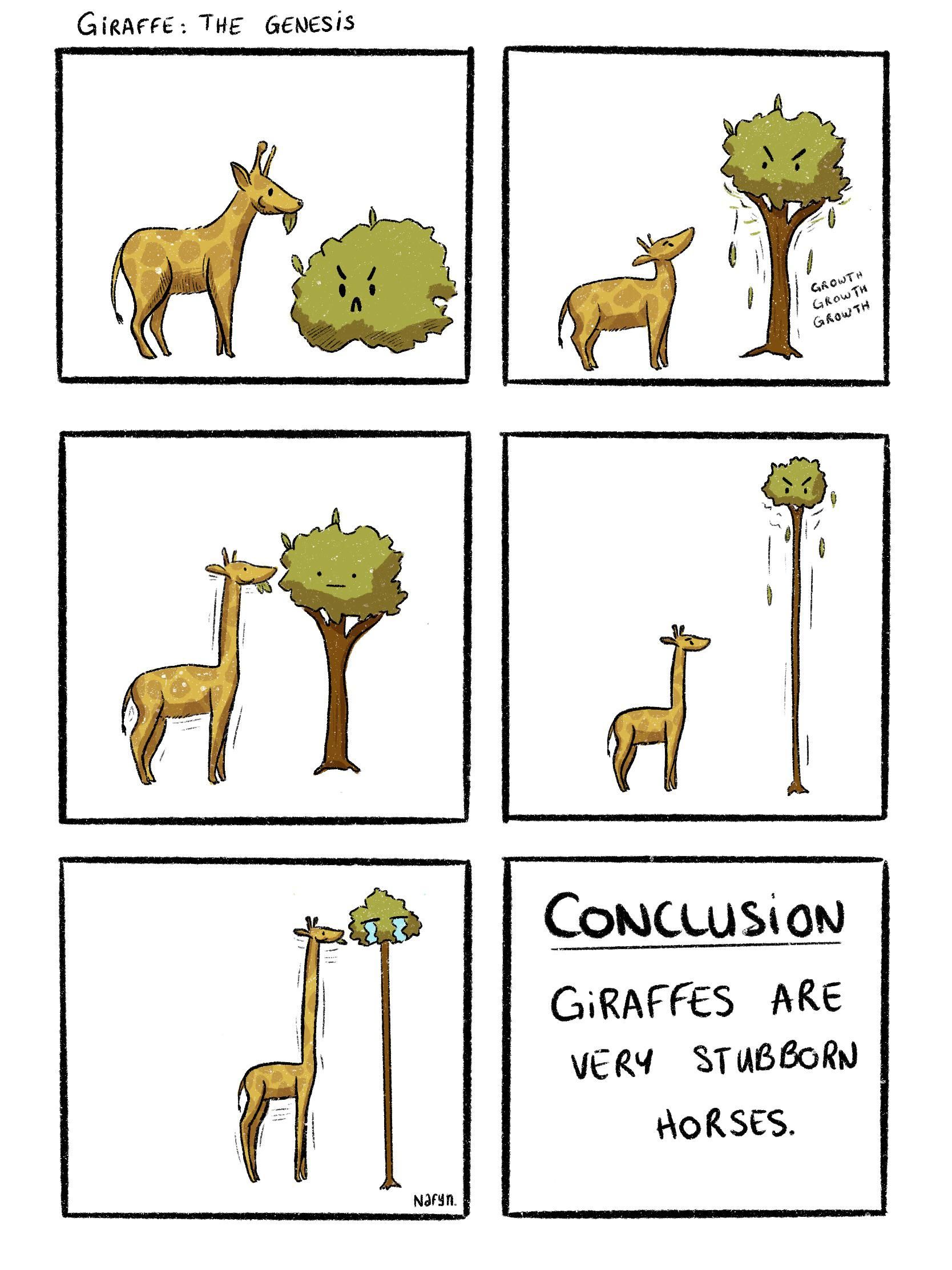 Giraffes: the genesis
