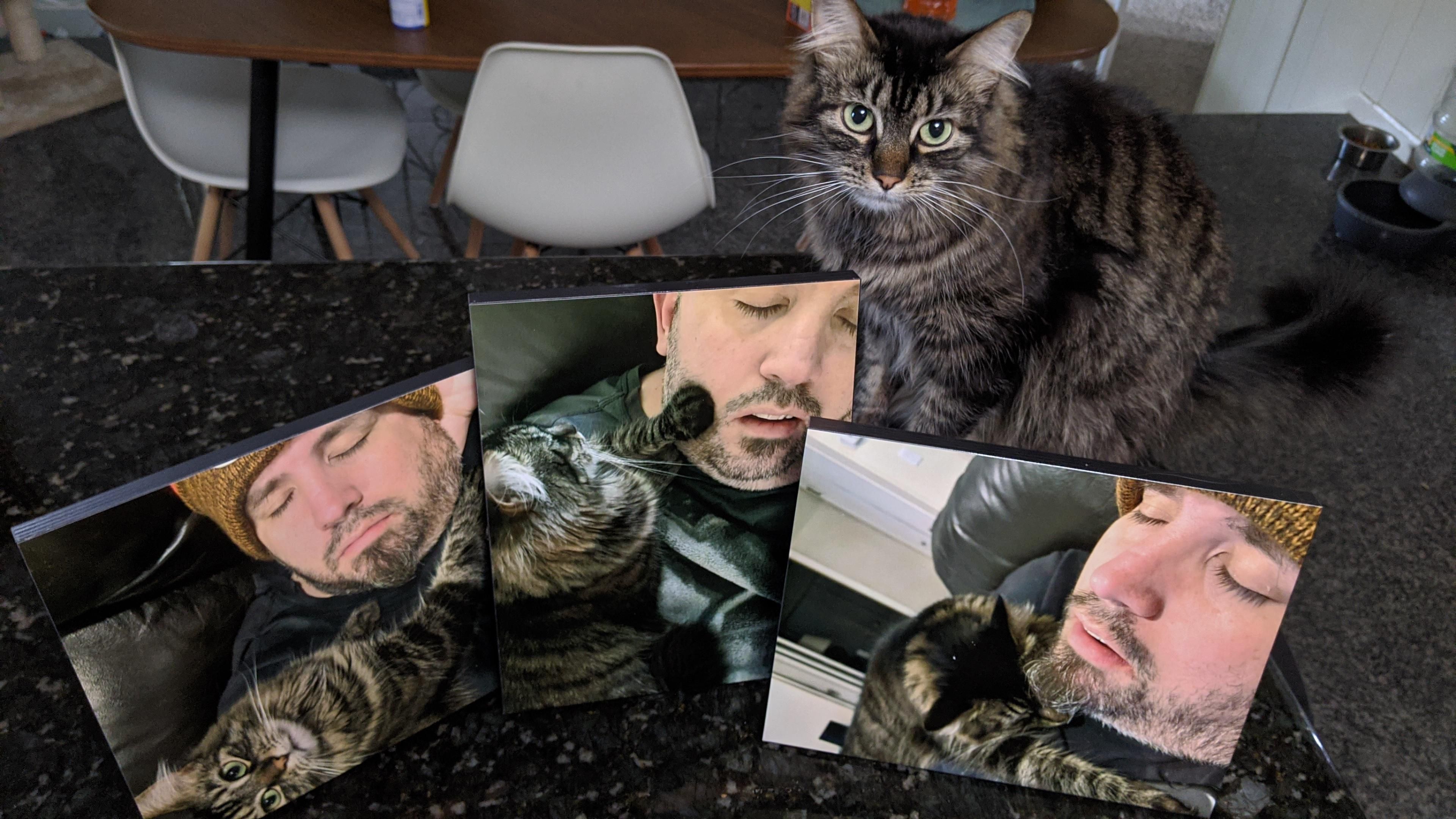 My Wife has been secretly collecting pictures of me for months sleeping. Today, for Father's Day, I was gifted the collection. I present "Catnapping".