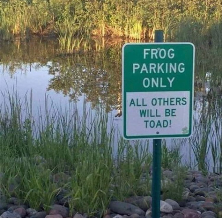 Frogs and frigs