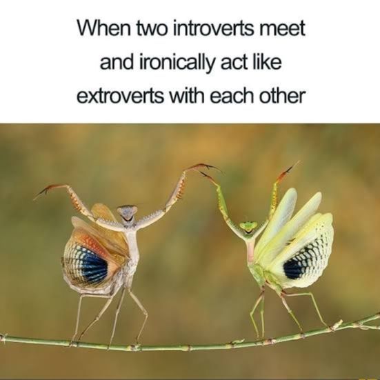 What up friend!