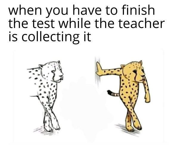 assignment