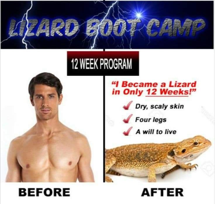if you can do it in 11 weeks i'll give ur money back