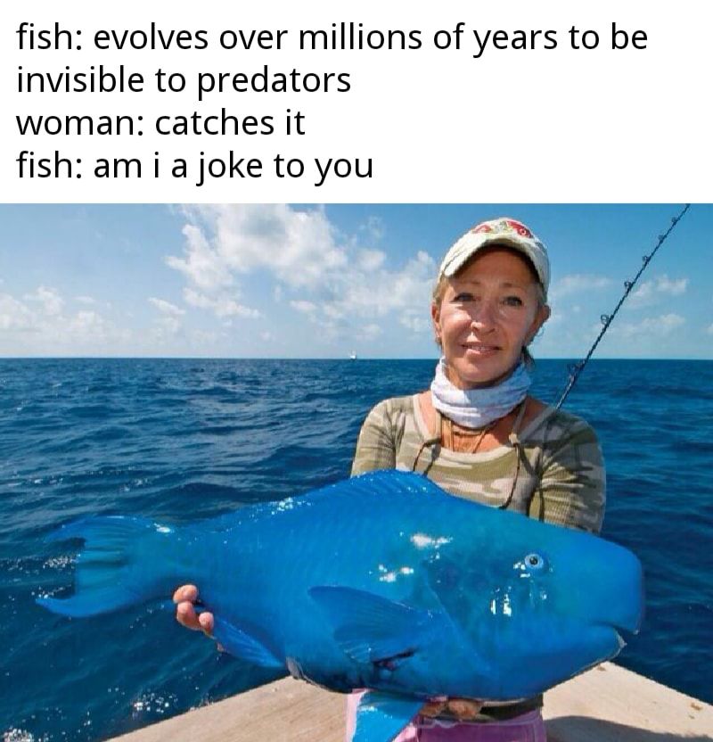 No your food