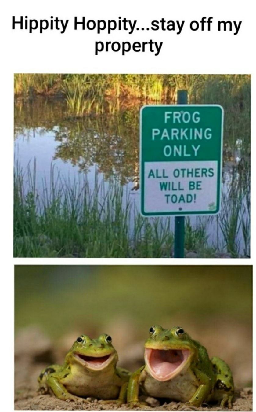 Haha toad jokes