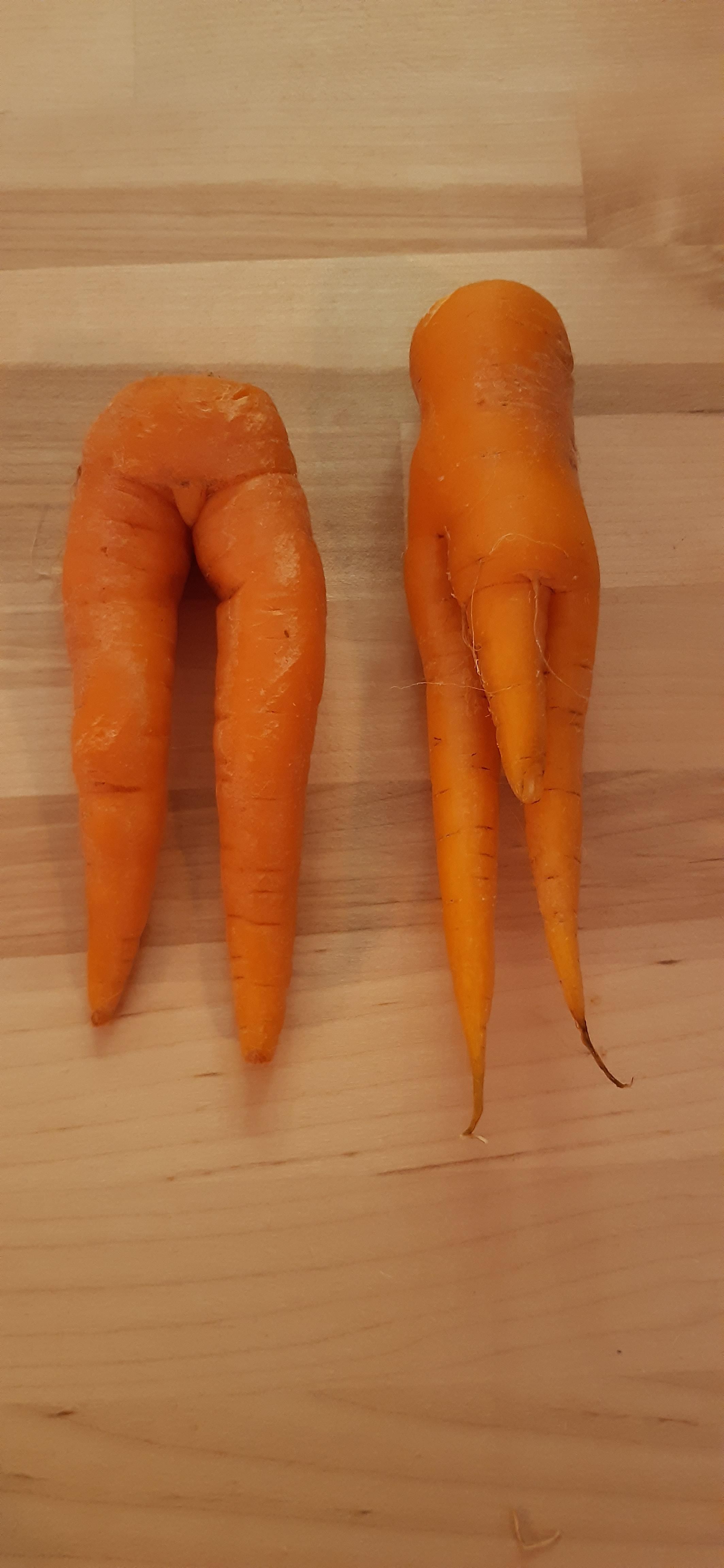 My granddad remained totally poker faced as he passed me these carrots for the stew