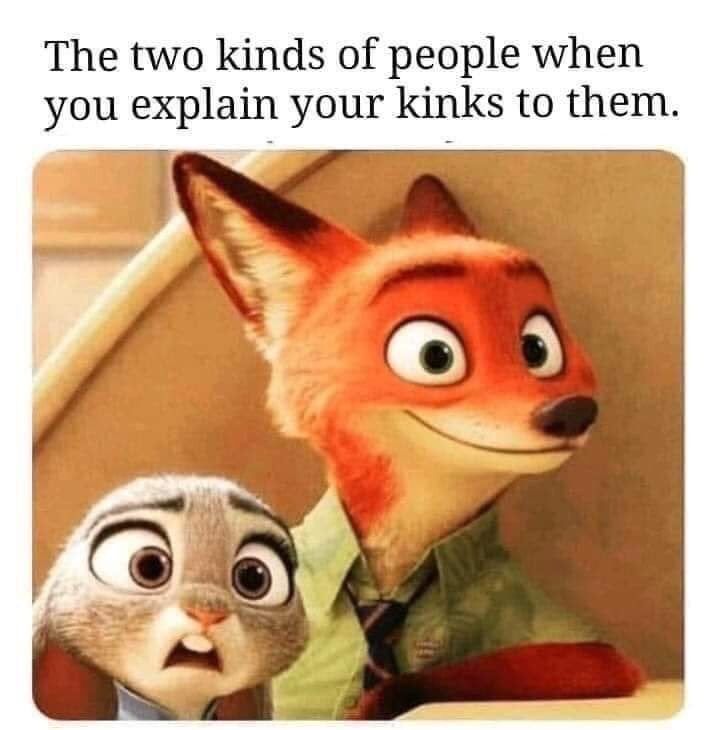 I can't quite tell if the fox is interested, or dead inside