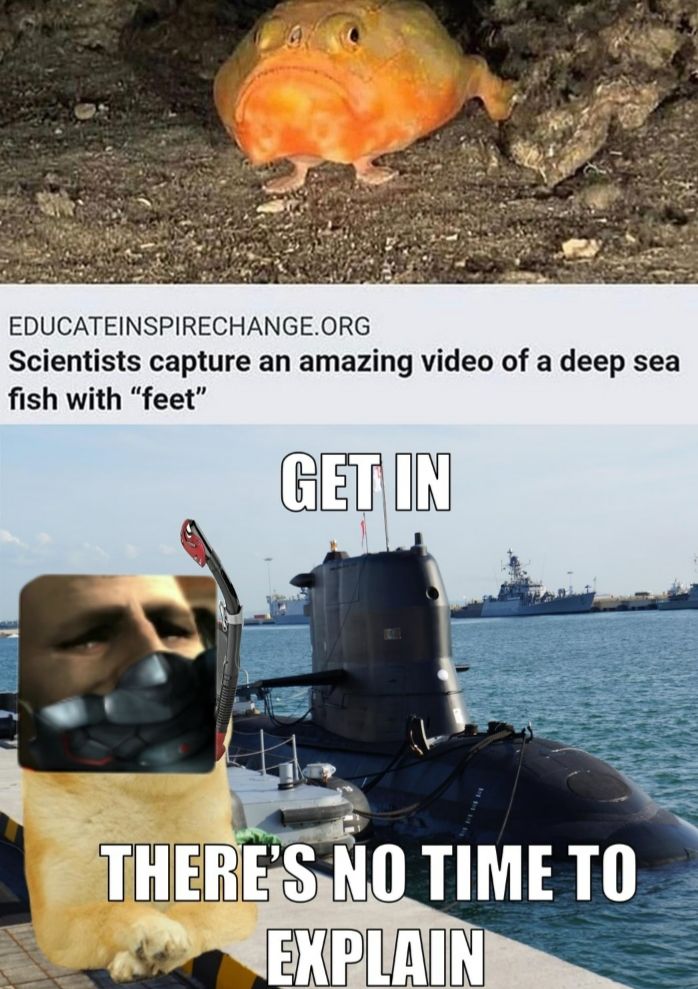 @silvertalon17