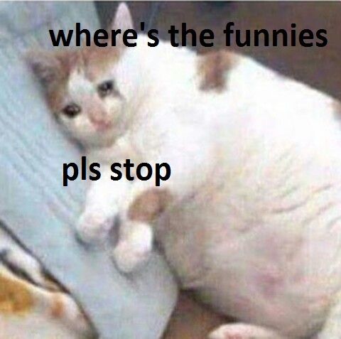 Browsing HL and seeing ppl complaining and arguing about anything