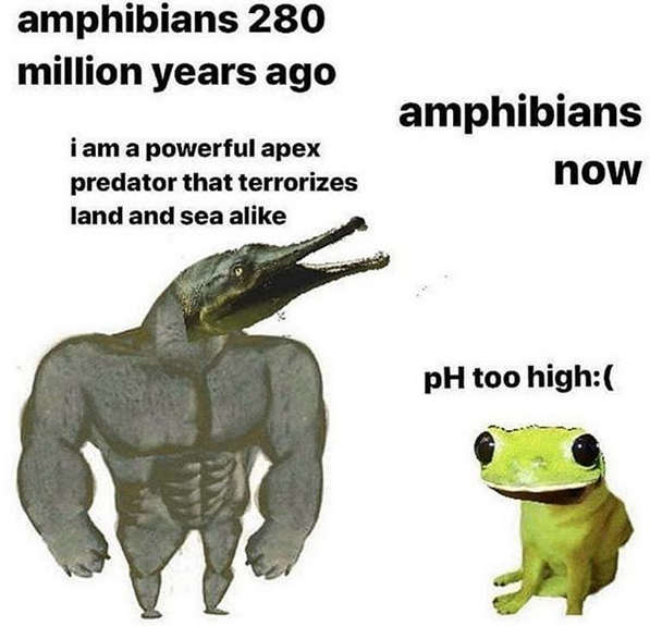 Maymays.