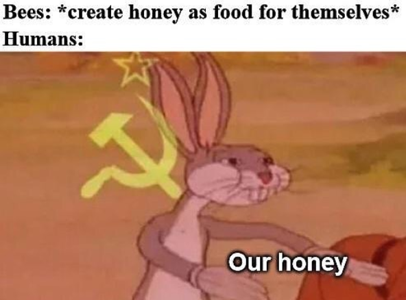 Comrade bees.