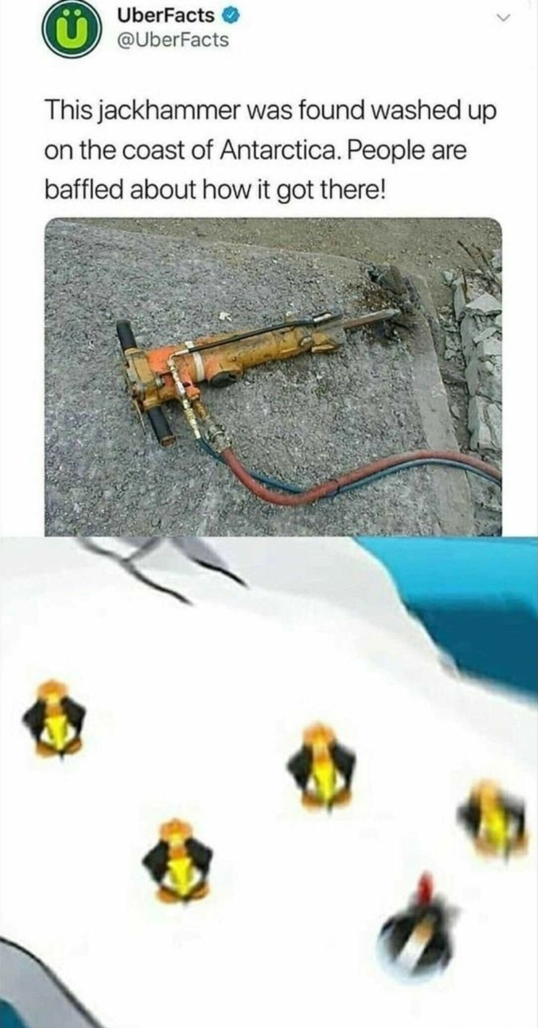 Dig time